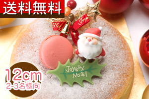 クリスマスケーキ 【送料無料】シエスタチーズケーキ　クリスマスバージョン